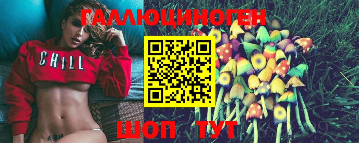 Псилоцибиновые грибы Psilocybe Обь