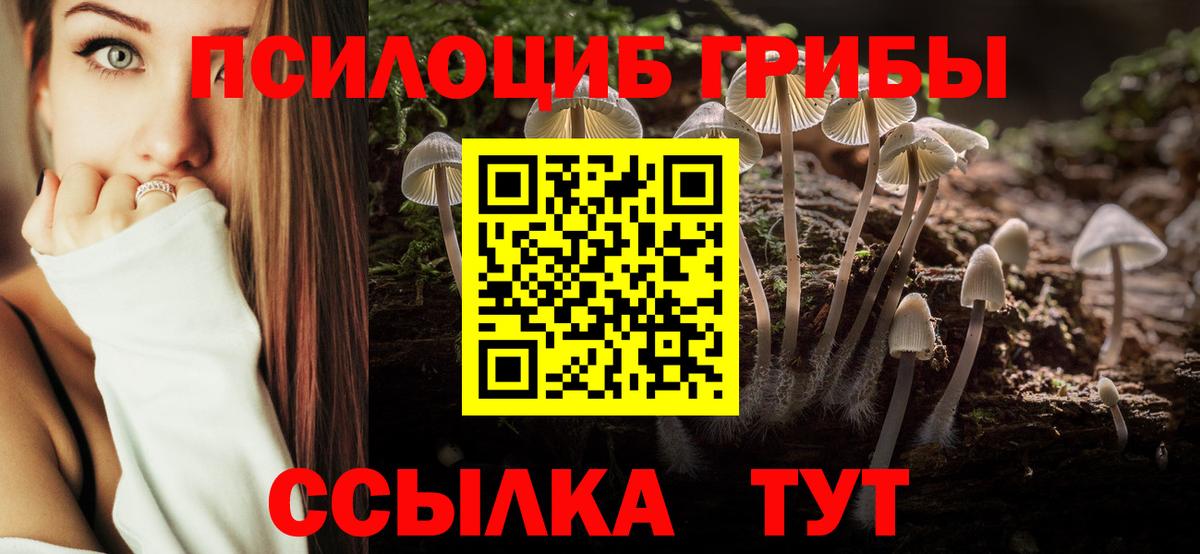 Обь  Псилоцибиновые грибы мицелий  Вход с VPN 